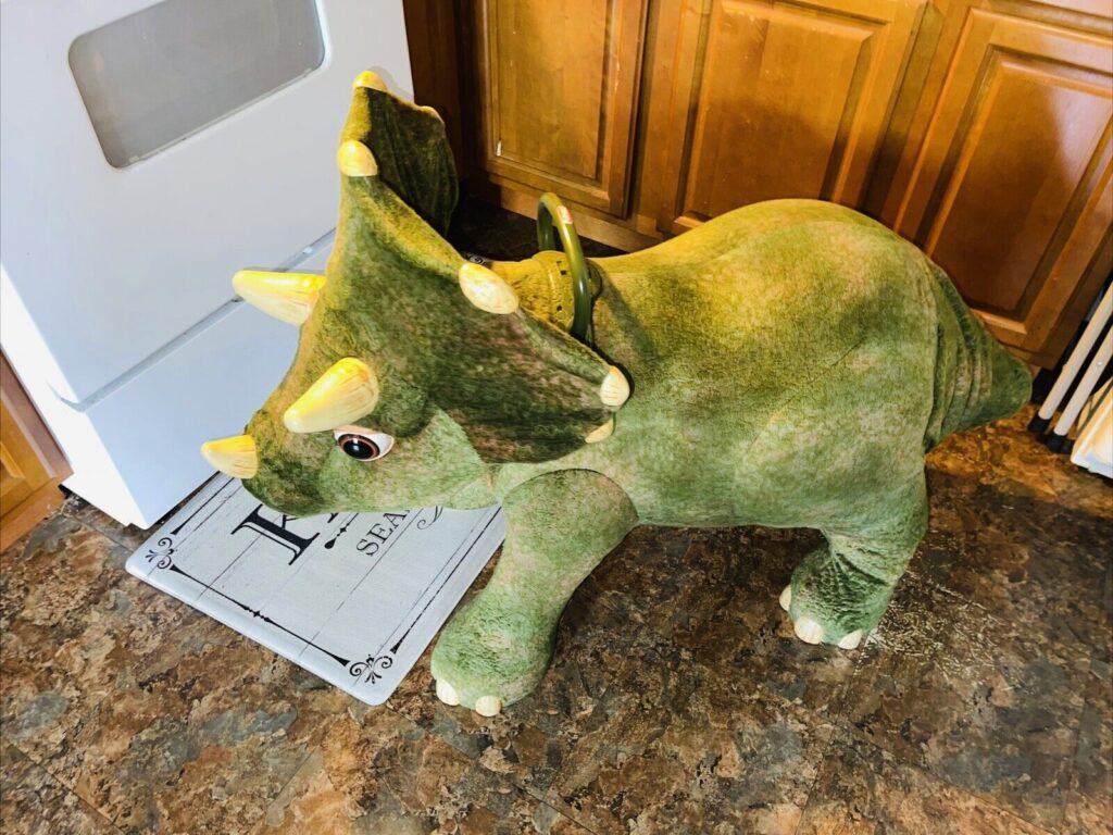 Kota the Triceratops What, Why, and How
