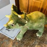 Kota the Triceratops What, Why, and How